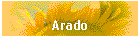 Arado